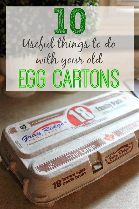 10 Useful Things To Do With Your Old Egg Cartons The Creek Line House