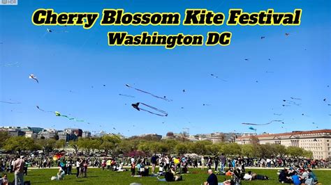 Cherry Blossom Kite Festival Washington Dc 2023 Youtube
