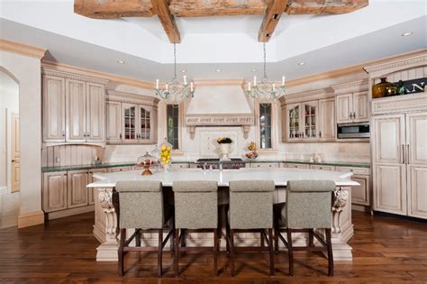 Buell Mansion Home Transitional Kitchen Denver By Joei Mcintire Design Houzz