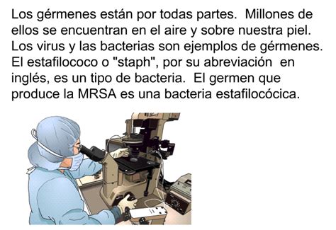 PatEdu La prevención de infecciones MRSA Comunidad