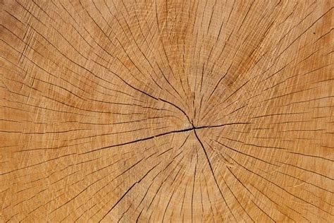 Cracked Growth Rings Cut Wooden Background Stock Image Everypixel