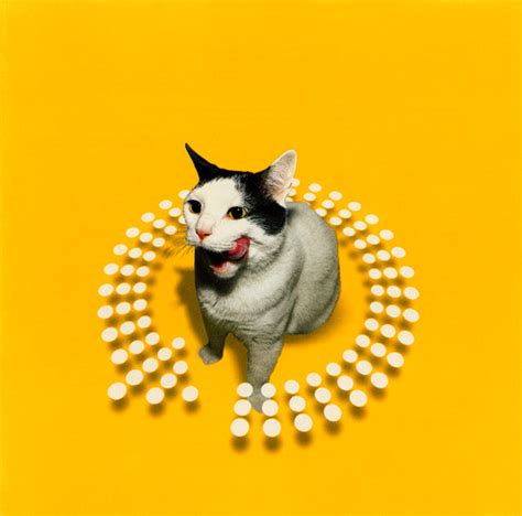 DJ Peter Rauhofer Twist This Pussy A Continuous Twisted Beatmix CD Discogs