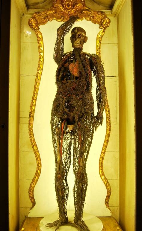 Anatomical Machines At The Sansevero Chapel In Naples Created 1763 64