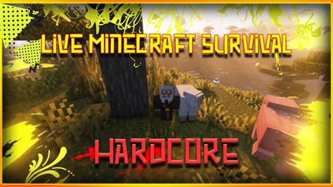 🔴 Minecraft Hardcore Dan Kalian Bisa Atur Gua Lets Gooo Youtube