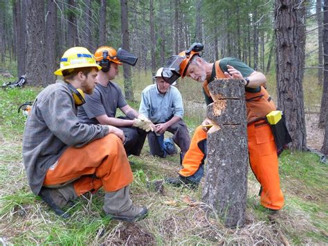 Small Forest Timber Owner Blog For Wa Safety And Woods Worker Training