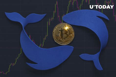 Whales Bitcoin Holdings Drop To Of Btc Supply Prominent Analyst