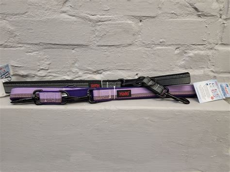 Halti Double Ended Lead Surrey Dog School