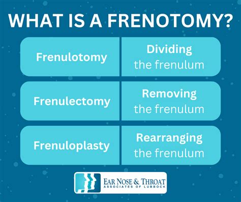 Ear Nose And Throat The Complete Guide To Tongue Ties And Frenotomy