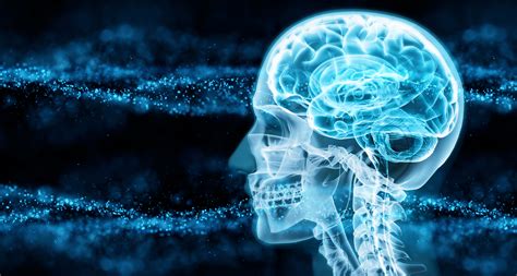 The Human Side Of Cybercrime What Drives People To Commit Fraud