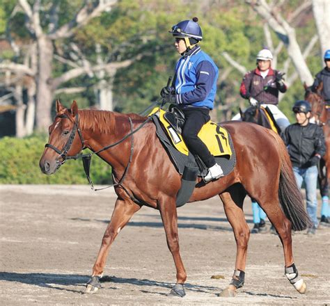 スワンs勝ちのウイングレイテストは阪神cへ【中央競馬】：中日スポーツ・東京中日スポーツ