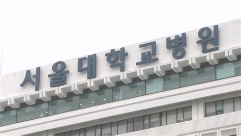 서울대 의대 비대위 교수 400명 자발적 사직 결의 네이트 뉴스