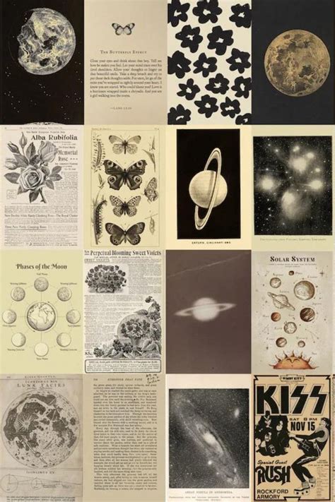 Buy 75 Pcs Vintage Collage Kit Aesthetic Grunge Wall Art Set Botanical