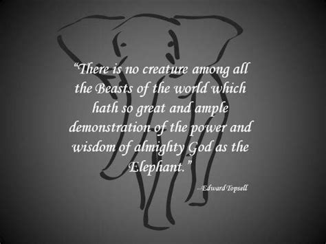 Elephant Quotes Elephant Quotes