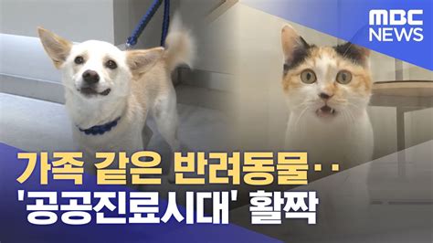 가족 같은 반려동물‥'공공진료시대' 활짝 (2024.07.15/뉴스투데이/MBC) - YouTube
