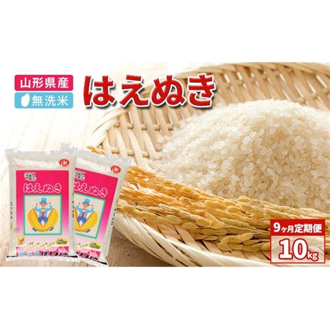 【9ヶ月】令和4年産 山形県産 一等米 無洗米はえぬき10kg（5kg×2）【定期便】【山形県産米・bg精米製法】 山形県大江町｜jre