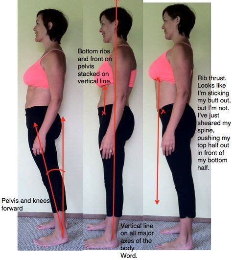 Under Pressure Nutritious Movement Diastasis Diastasis Recti