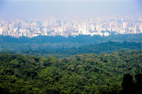 Parque Estadual Da Cantareira USP Imagens