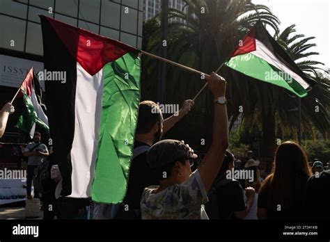 Marcha Pro Palestina Ciudad De M Xico M Xico De Octubre De