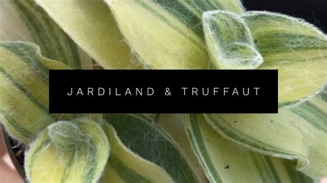 JARDILAND TRUFFAUT MÉRIGNAC YouTube