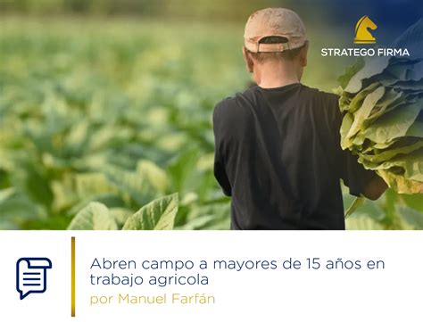 Mayores de 15 años ya pueden laborar en actividades agrícolas no