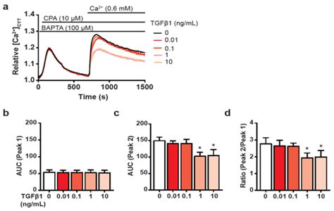 Assessment of cytosolic Ca² levels during the store operated calcium