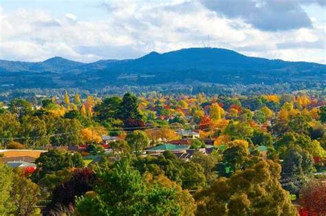 Unlock The Rich History And Culinary Delights Of Orange New South