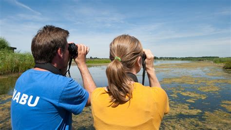 V Gel Beobachten Beim Westk Sten Vogelkiek Ndr De Ratgeber Reise