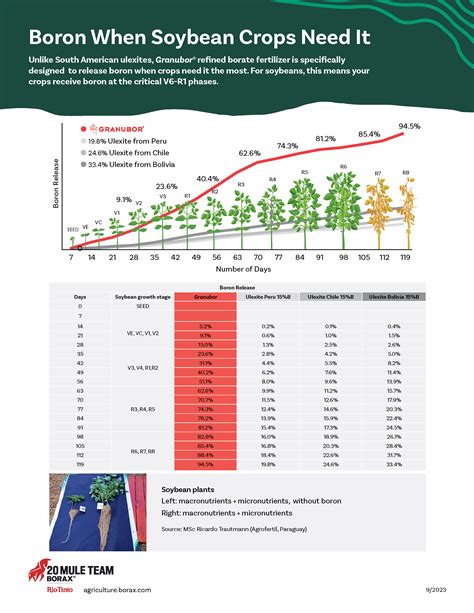 Infographic Boron When Soybean Crops Need It Us Borax