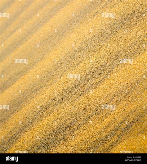 The Brown Sand Dune In The Sahara Morocco Desert Stock Photo Alamy