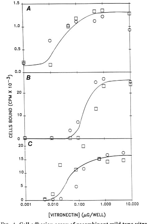 Figure 4 From Site Directed Mutagenesis Of The Arginine Glycine