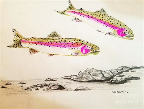 Rainbow Trout Scene Original Gel Pen Digital Art By Scott D Van Osdol