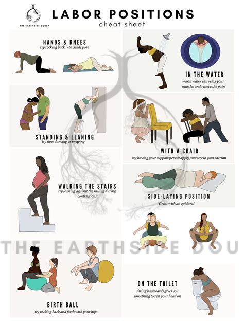 Labor Positions Infographic For Birth Workers Commercial Use Doula