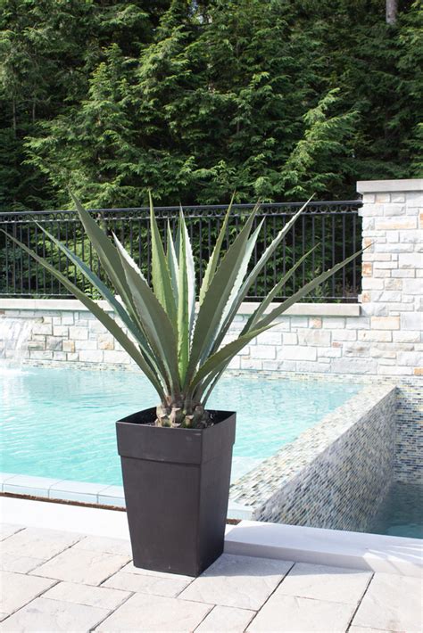 53 X 38 Outdoor Americana Agave Planter Décors Véronneau