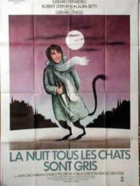 La Nuit Tous Les Chats Sont Gris Affiche Cine