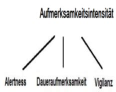 Aufmerksamkeit Flashcards Quizlet