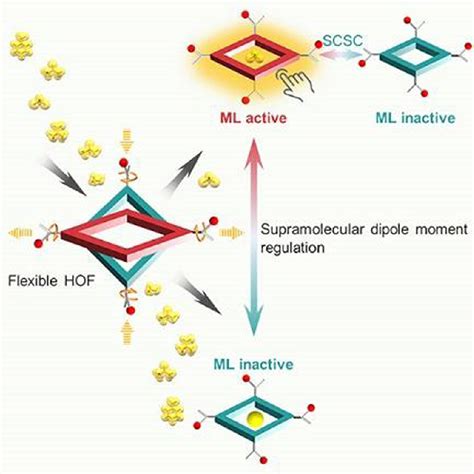 Achieving Bright Mechanoluminescence In A Hydrogen Bonded Organic