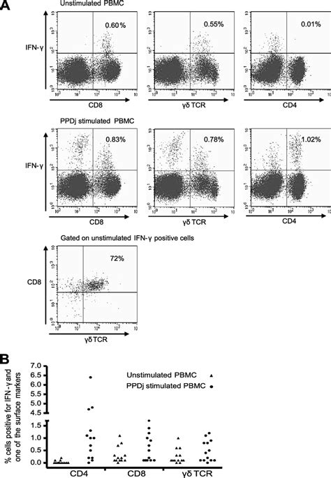 A Flow Cytometric Dot Plots Showing The Phenotypes And Ifn Expression Download Scientific