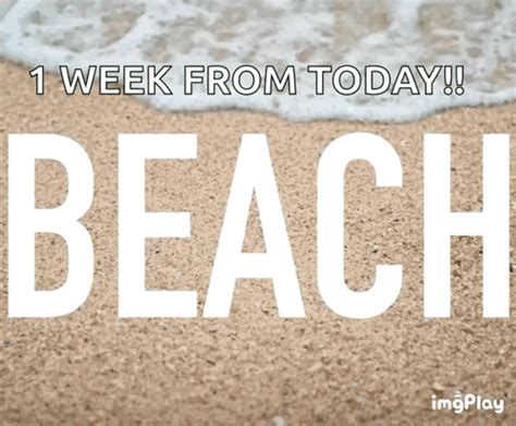 Beach Day Beach GIF - Beach Day Beach Vacation - Discover & Share GIFs