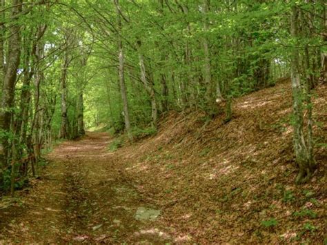 Nel Parco Dell Alta Val Borbera Percorsi E Bike Val Borbera Bikesquare