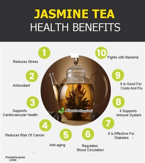 14 Wonderful Health Benefits Of Jasmine Tea: Recipe, Uses & More