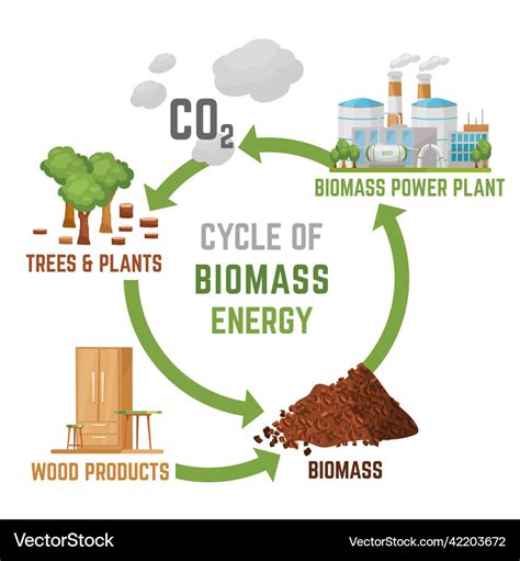 Biomass Energy Vertical Poster With Useful Vector Image