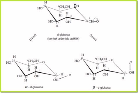 Struktur Karbohidrat