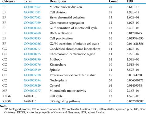 Significantly Enriched Go Terms And Kegg Pathways Of Degs Download