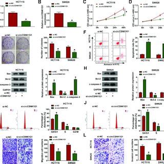 The Expression Of Circ In Nsclc Tissues And Cells A Heat Map