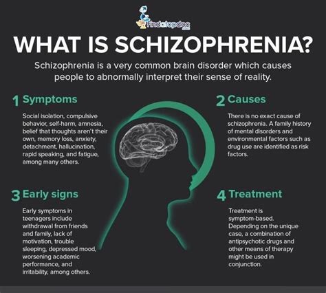 What Is Schizophrenia Infographic