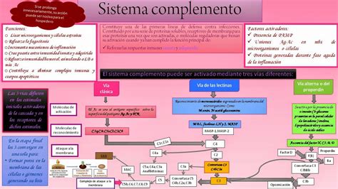 Sistema Complemento Mapa Mental Librain