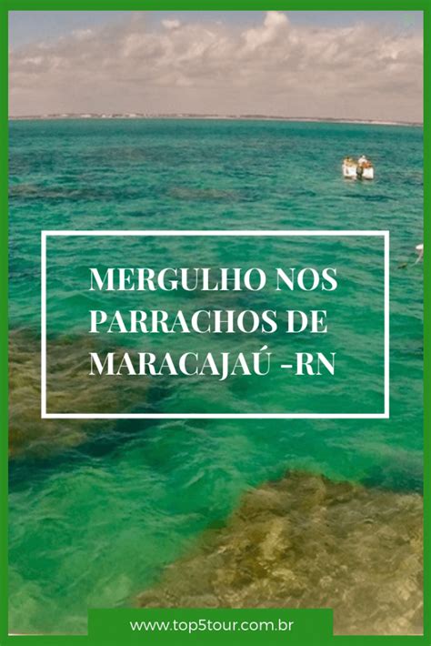 Mergulho nos Parrachos de Maracajaú passeio imperdível para quem