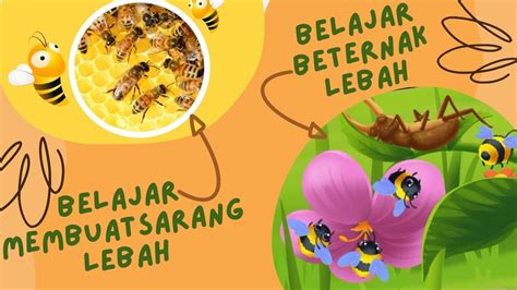 Beternak Lebah Dan Madu Edukasi Anak TK Paud Balita Animasi Anak