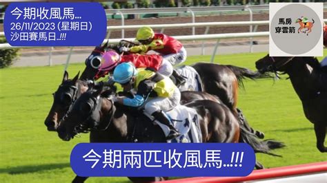 今期收風馬26112023 星期日 沙田日馬賽事 今期兩匹收風馬 香港賽馬 賽馬 賽馬貼士 Youtube