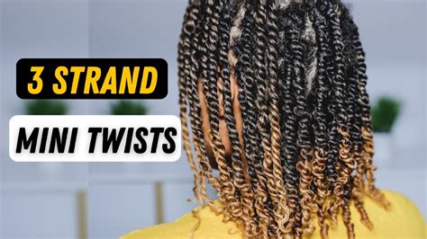 How To 3 Strand Mini Twists Protective Style For Natural Hair Youtube